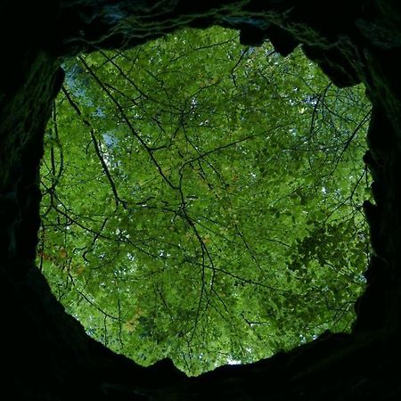 Espaco Origem Sintra Dış mekan fotoğraf