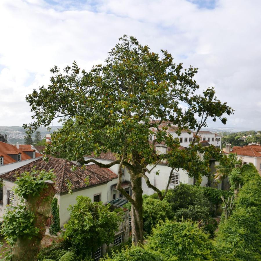 Espaco Origem Sintra Dış mekan fotoğraf