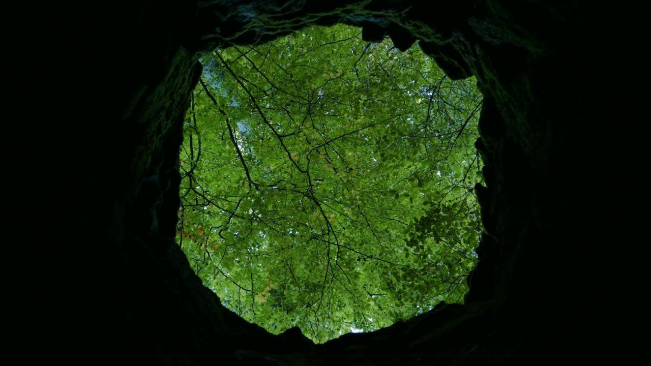 Espaco Origem Sintra Dış mekan fotoğraf
