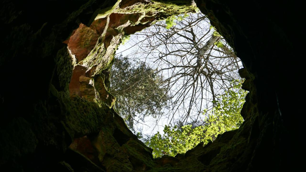 Espaco Origem Sintra Dış mekan fotoğraf